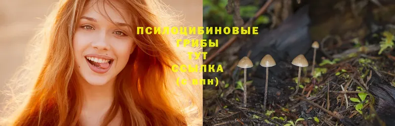 Псилоцибиновые грибы Cubensis  OMG как войти  Артёмовский  где найти  